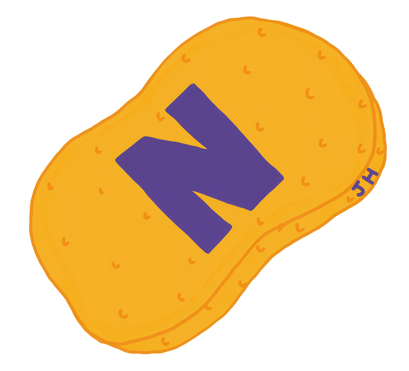 netkit-jh-logo